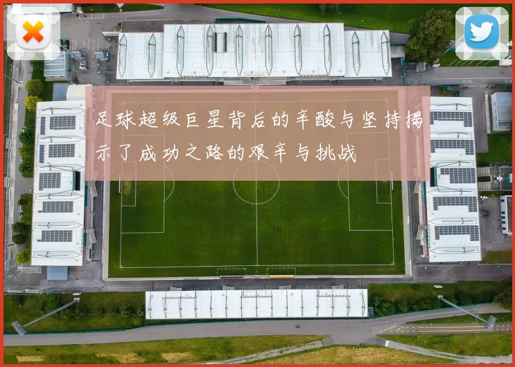 足球超级巨星背后的辛酸与坚持揭示了成功之路的艰辛与挑战