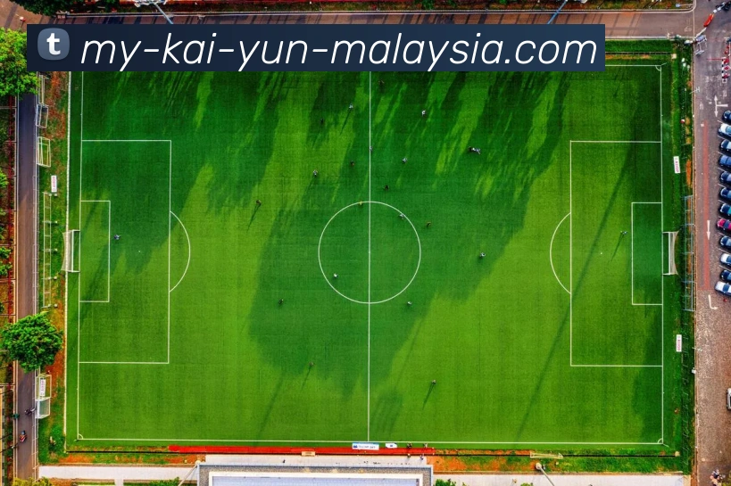 未来规划